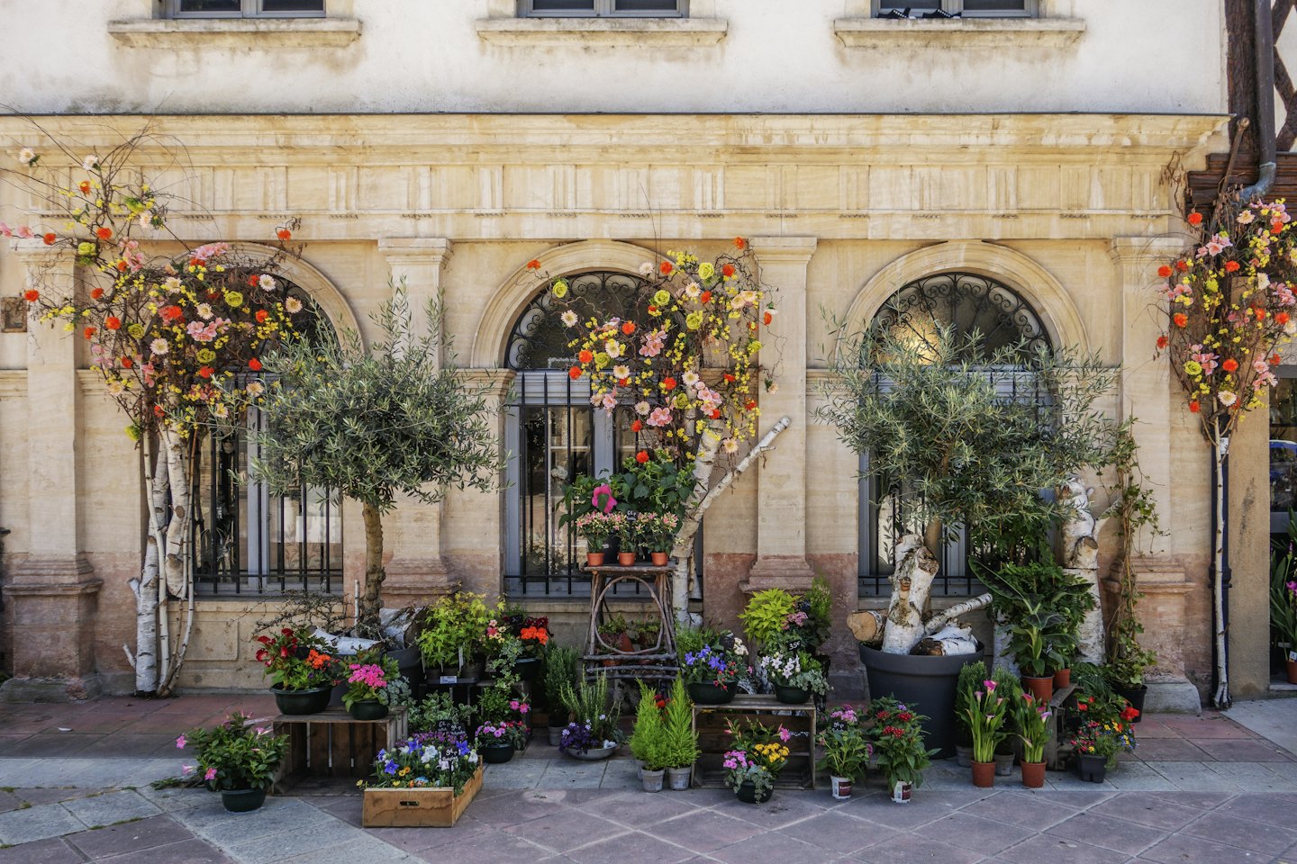 Piante in vaso e fiori disposti all'esterno di un edificio in pietra ornato.