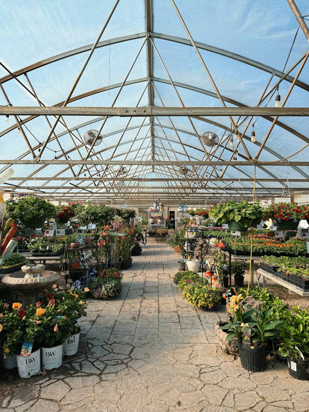 Piante in vaso e fiori riempiono una serra commerciale soleggiata.