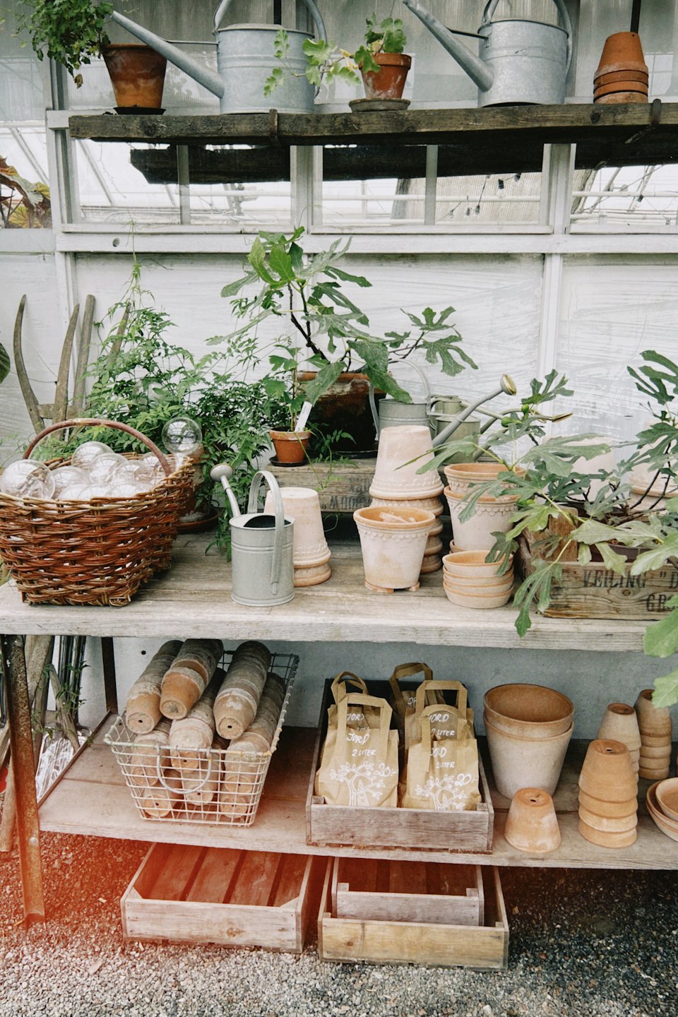 Forniture per il giardinaggio e piante in vaso esposte su scaffali di legno.